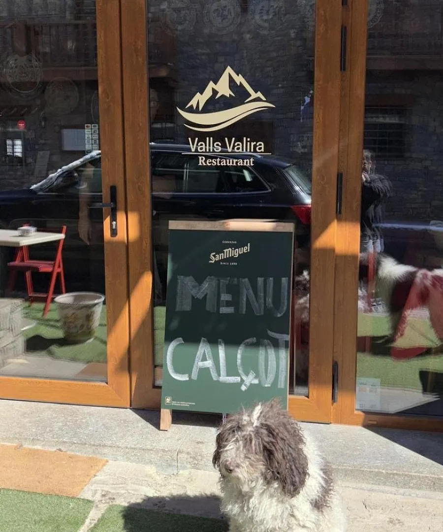 Hotel Valls Valira Os de Civís