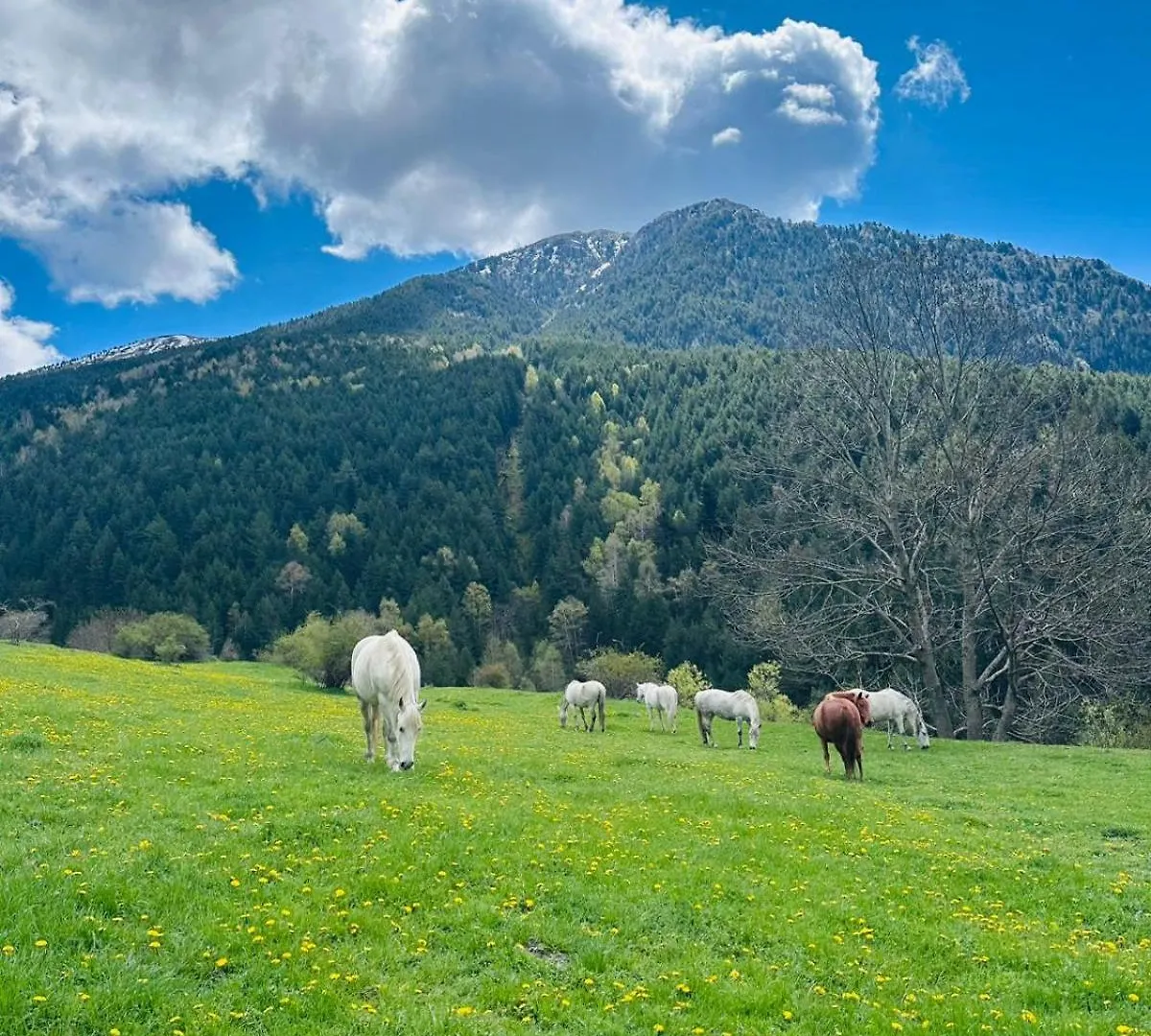 **  Hotel Valls Valira Os de Civís Spanien